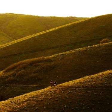  Inflammasome Therapeutics - Home